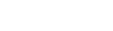 盤上の向日葵 10.31 FRI