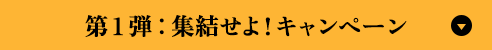 第1弾：集結せよ！キャンペーン